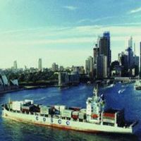 國內(nèi)海運(yùn)服務(wù)全方位解析 集裝箱、船運(yùn)與水運(yùn)的專業(yè)選擇