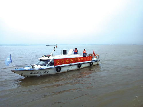 水上執法顯成效，源頭治理促生態——記江上巡查與漁具銷售監管專項行動