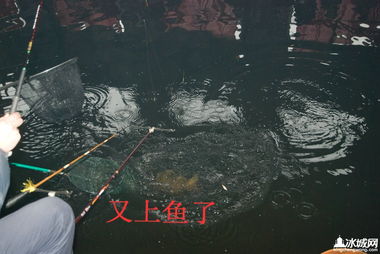 漁具流轉新篇章 首屆二手漁具買賣置換交易大會圓滿落幕